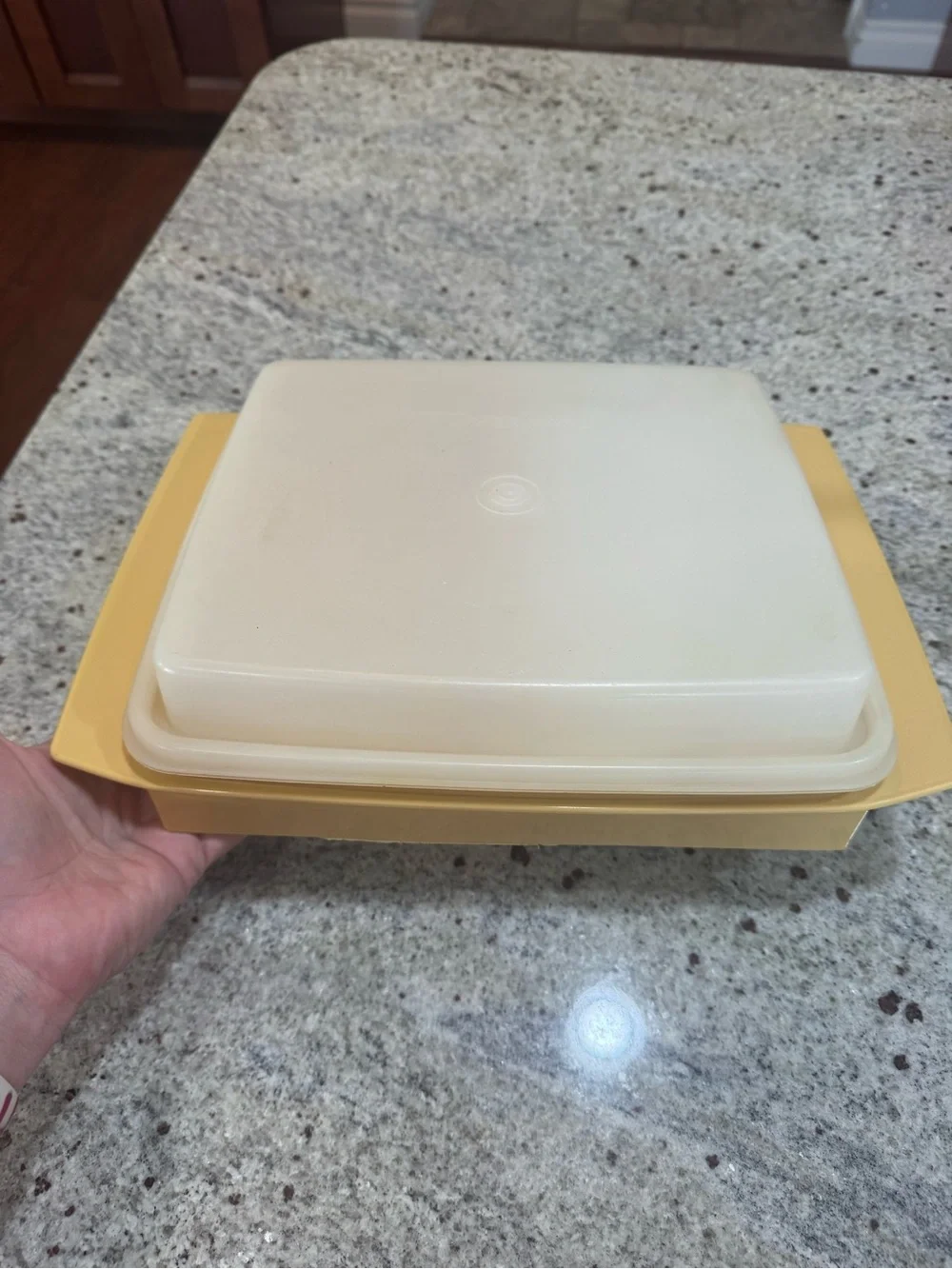 Vintage Square Covered Serving Dish in Yellow and Cream
